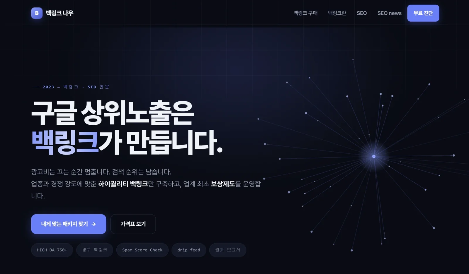 백링크나우 홈페이지